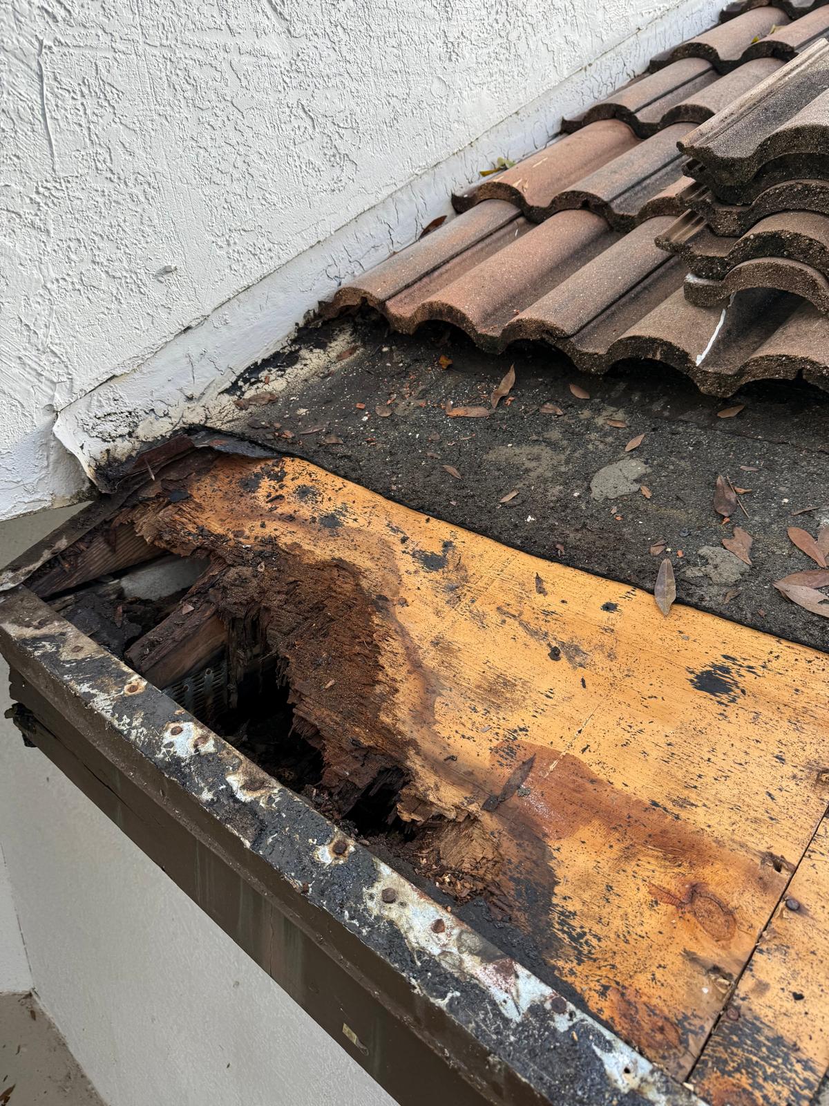 Fascia Repair 01